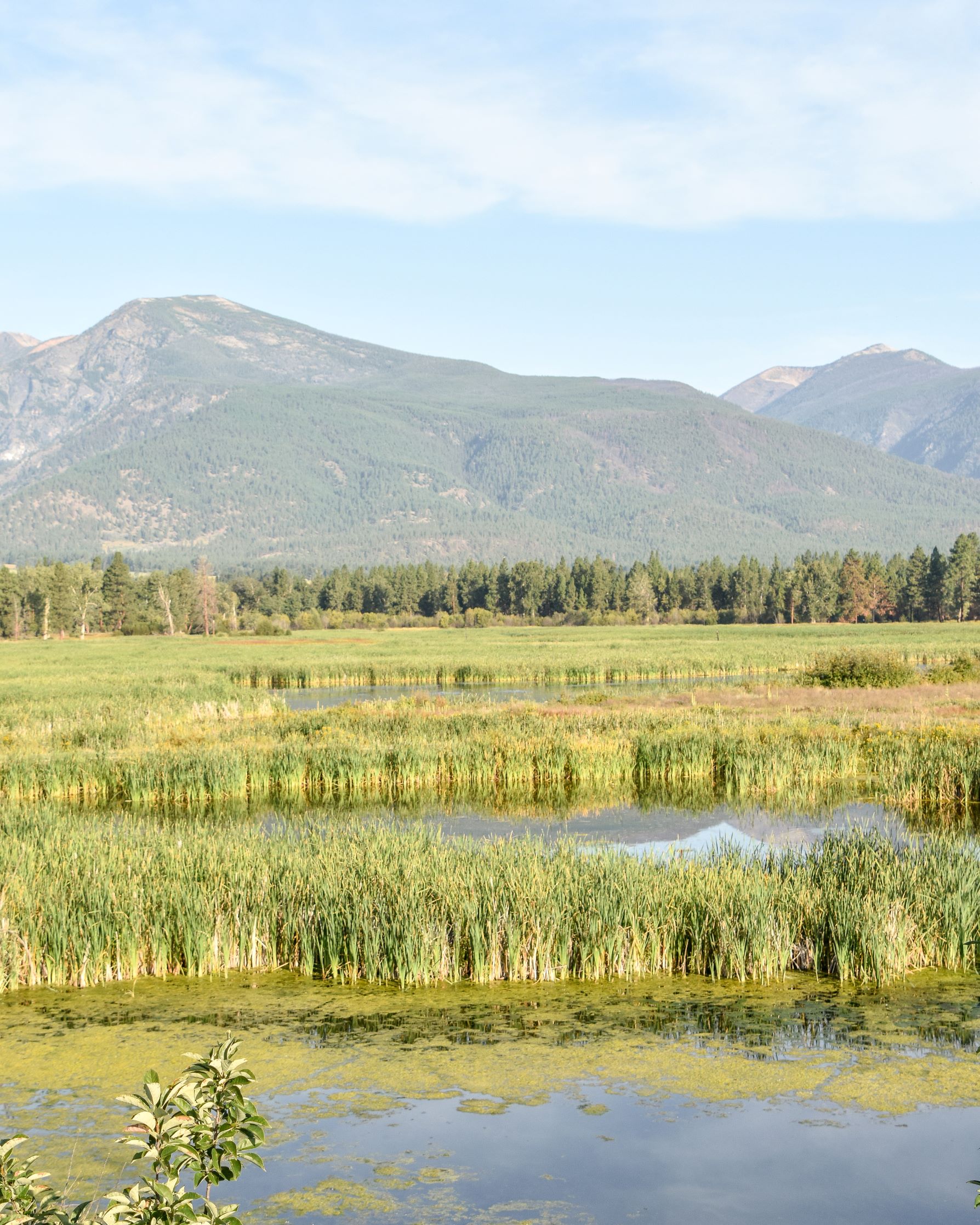 Lee Metcalf National Wildlife Refuge - Steph Purk