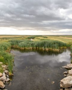 Benton Lake National Wildlife Refuge - Steph Purk