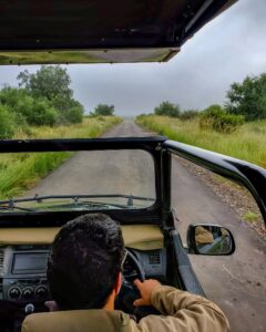 Morning fog with Werner driving vehicle