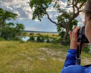 Photographing a Cape buffalo herd in the distance
