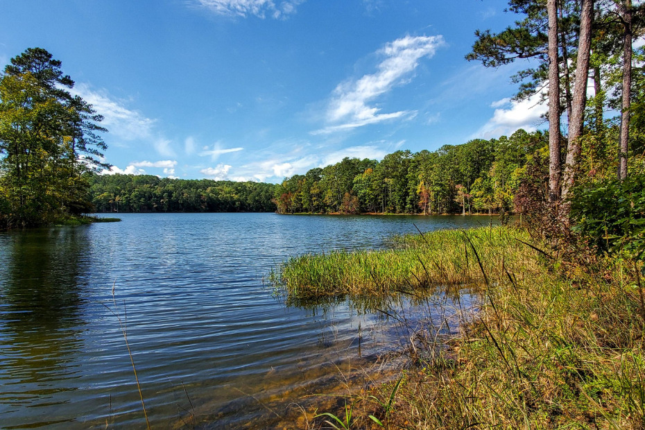 Exploring the Lakeview Loop Trail in Hickory Knob State Park - Steph Purk