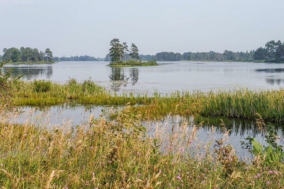 are dogs allowed at seney wildlife refuge