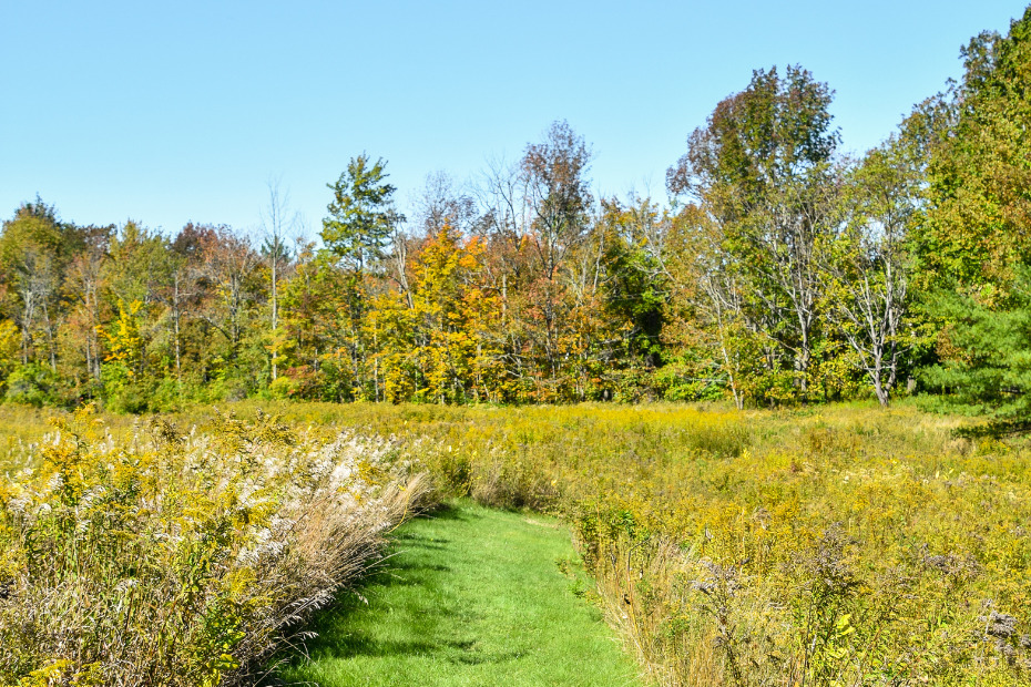 Lake Wampanoag Wildlife Sanctuary - Steph Purk