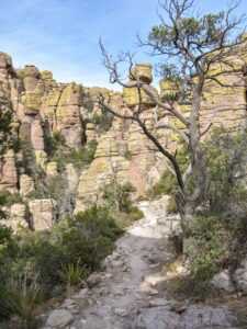 Echo Canyon Trail down into the canyon