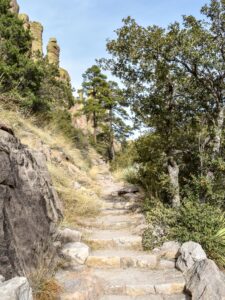 Stairs on Ed Riggs Trail