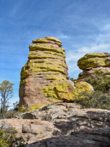 Yellow coloring on hoodoo in Chiricahua