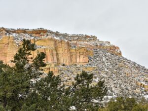 Snow and trees along sandstone