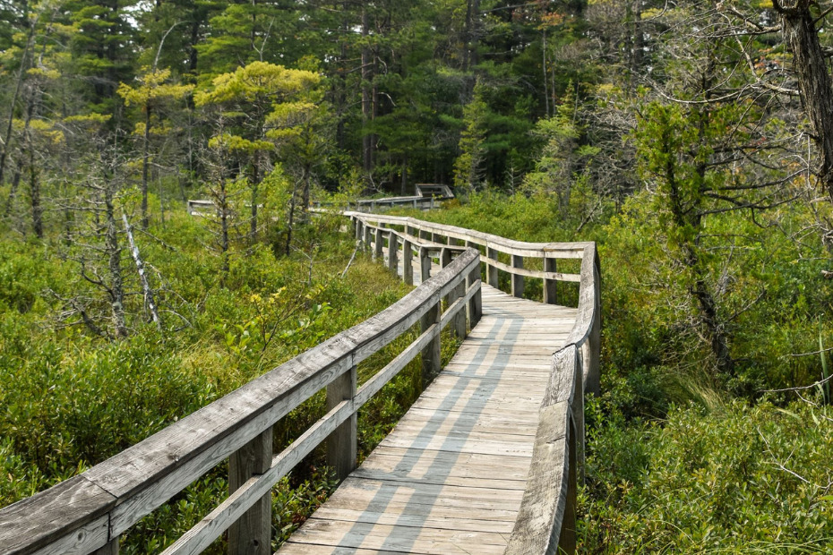 Log Slide Overlook, Hurricane River, and Sand Point Marsh Trail ...