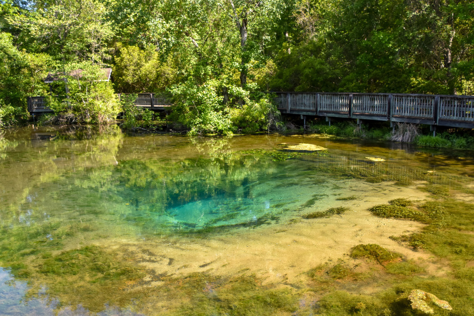 Magnolia Springs State Park - Steph Purk