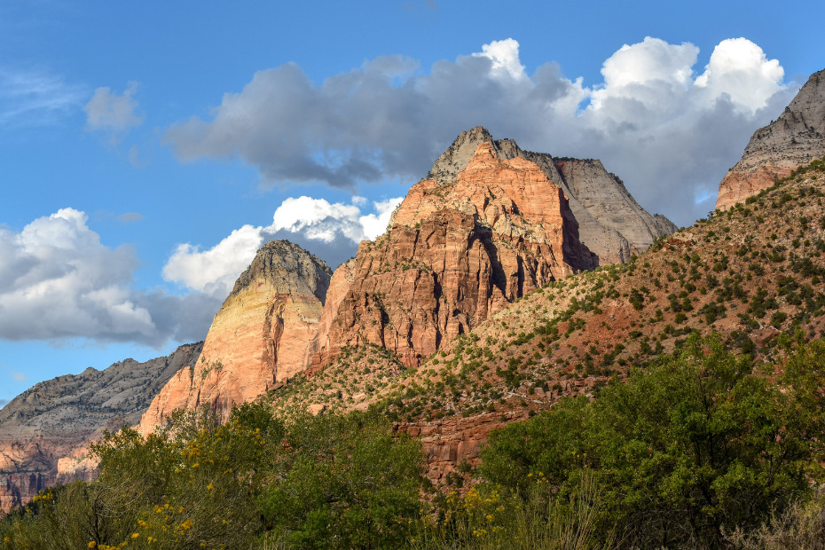 Zion National Park - Steph Purk