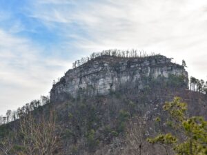 Big Pinnacle from Sassafras Trail