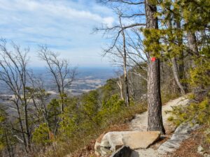 Curve along Pilot Knob Trail