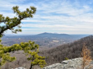 Sauratown Mountains from Sassafras Trail