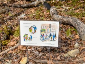 The Stars Just Up the Street on the storybook trail