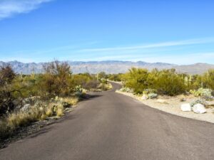 Cactus Forest Drive in Saguaro National Park