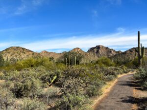 Desert Discovery paved path