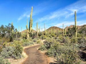 Desert Discovery paved trail and information sign