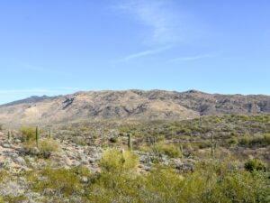 Rincon Mountain District in Saguaro National Park