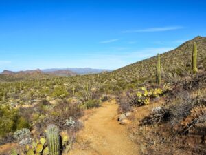 Sendero-Esperanza colorful landscape