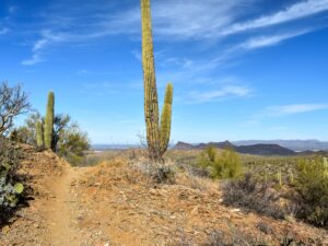 Sendero-Esperanza rocky trail