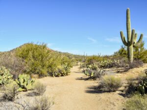 Start of the Sendero-Esperanza Trail