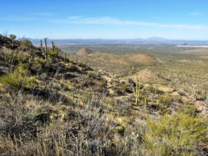 View from the top of Sendero-Esperanza Trail
