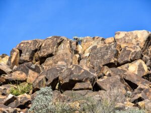 Looking up at petroglyphs on Signal Hill