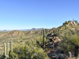 View from the ridgeline of Valley View