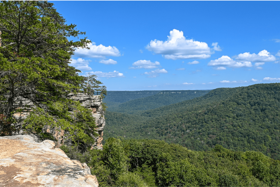 Savage Gulf State Park: The Great Stone Door and Greeter Falls