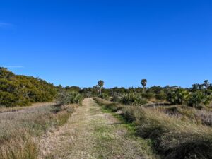Dike System Trail around Fort Pulaski