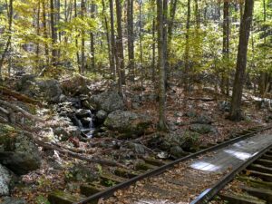 Irish Creek Railroad and cascade