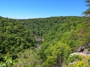 Little River Canyon from Lynn Overlook