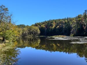 Otter Lake Overlook