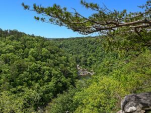 Peering through the trees at Lynn Overlook