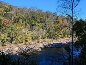 Roanoke River Balcony View
