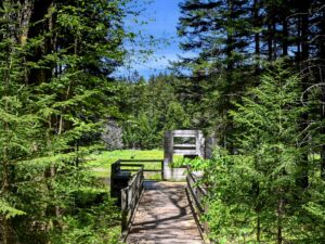Tea Creek viewing area