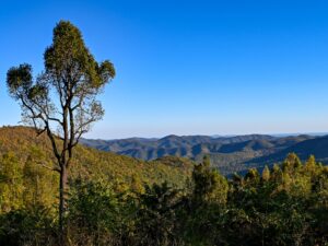 Three Ridges Mountain Overlook