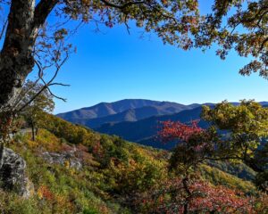Twenty-Minute Cliff Overlook