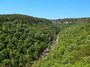 Wolf Creek Overlook view of the canyon