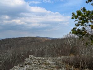Frazier Discovery Trail second outcrop