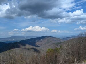 Two Mile Run Overlook