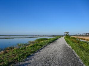 Live Oak Point Trail