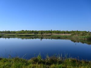 Middle Pool from the Live Oak Point Trail