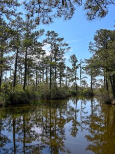 Reflections in the water from the Great Marsh Trail
