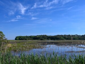 West Pool in Mackay Island National Wildlife Refuge