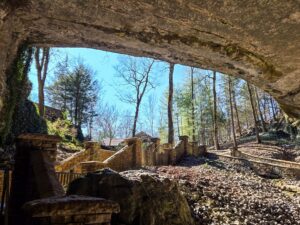 Cave entrance from inside