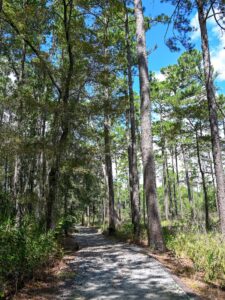 Little River Trail